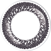 LACELLE 1-Day Modest Black 素黑日拋隱形眼鏡(30片)